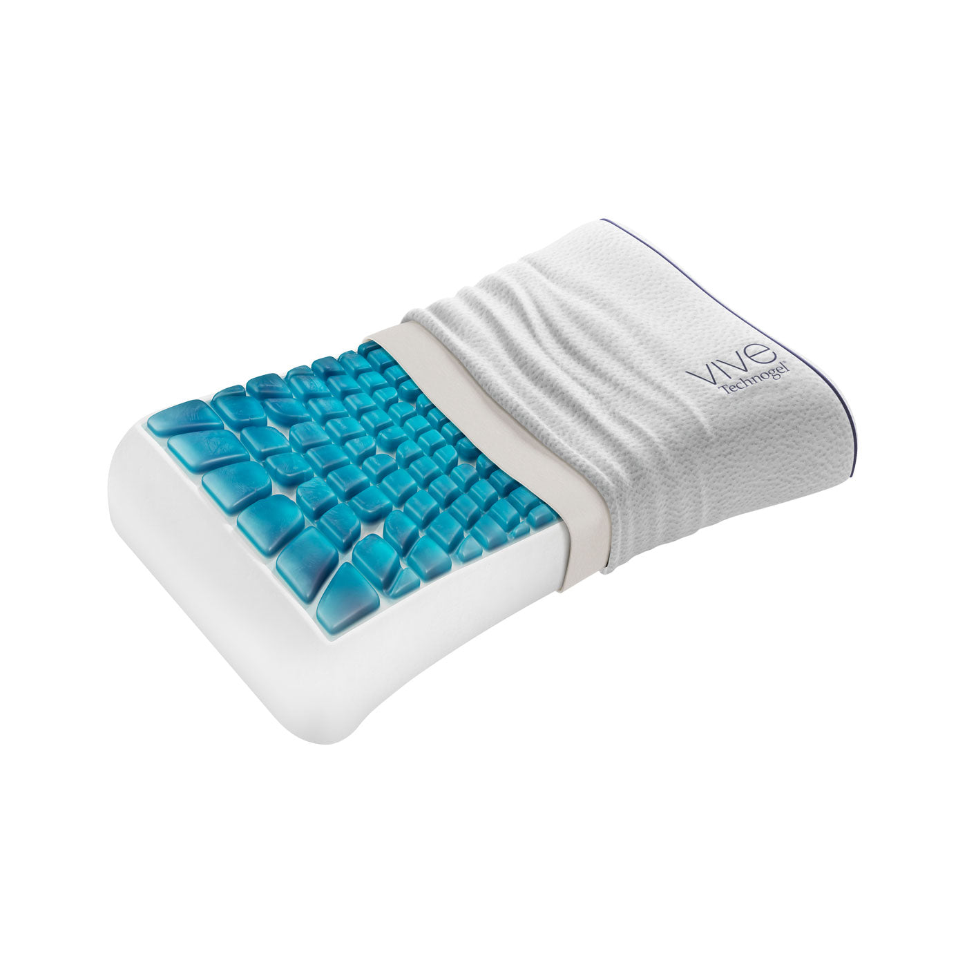 Courbe anatomique Vive