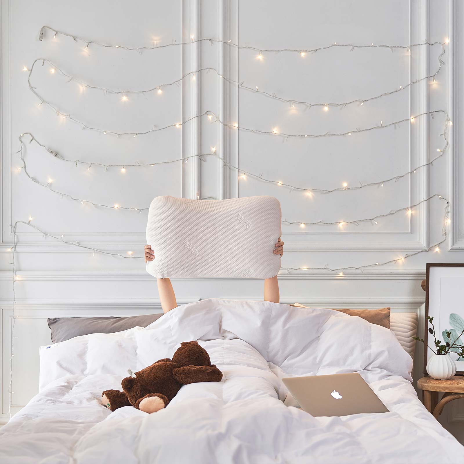 Tempur Pillows